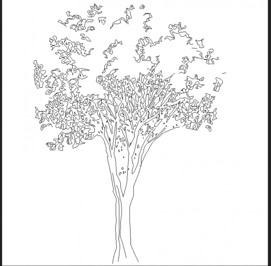 Tall tree detailed dwg file.
