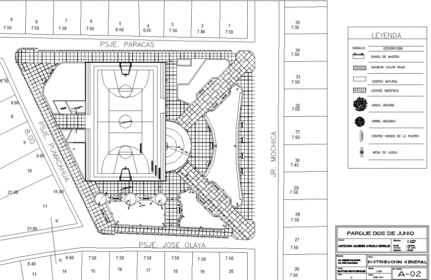 The sport plan detail dwg file.