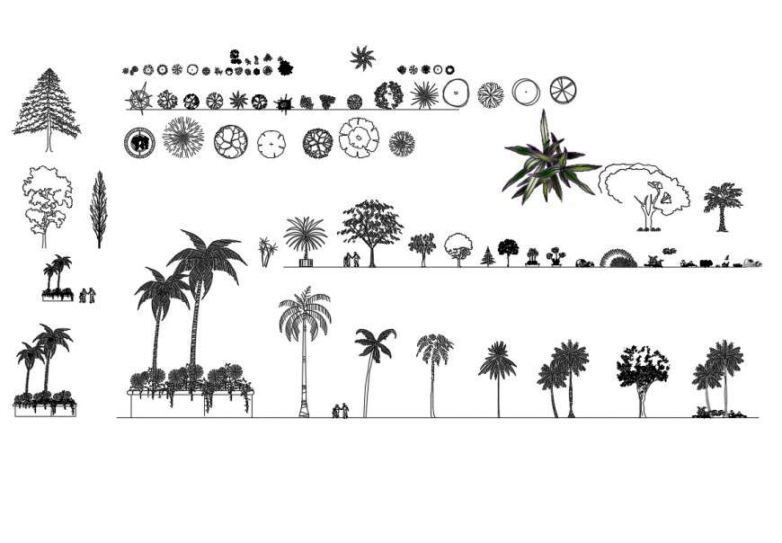 Tree and plant dwg file