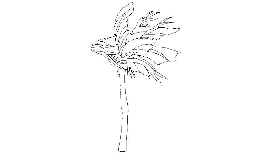 Trees and plants drawing details 2d view shown in autocad file
