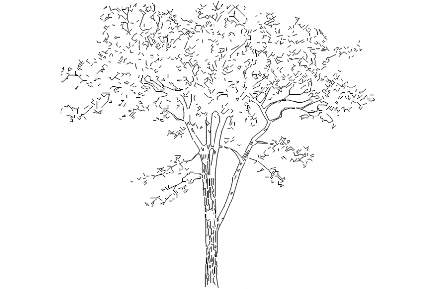 Trees front sectional file