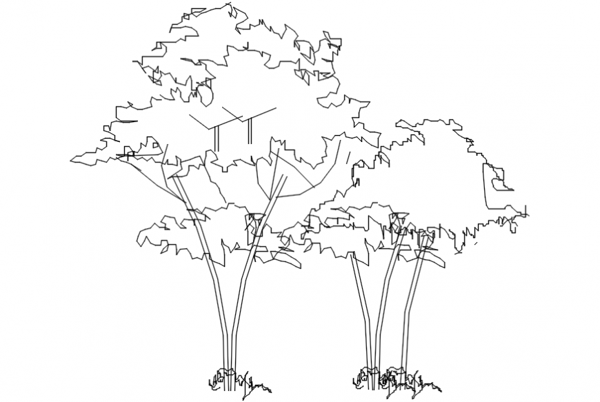Trees front sectional files