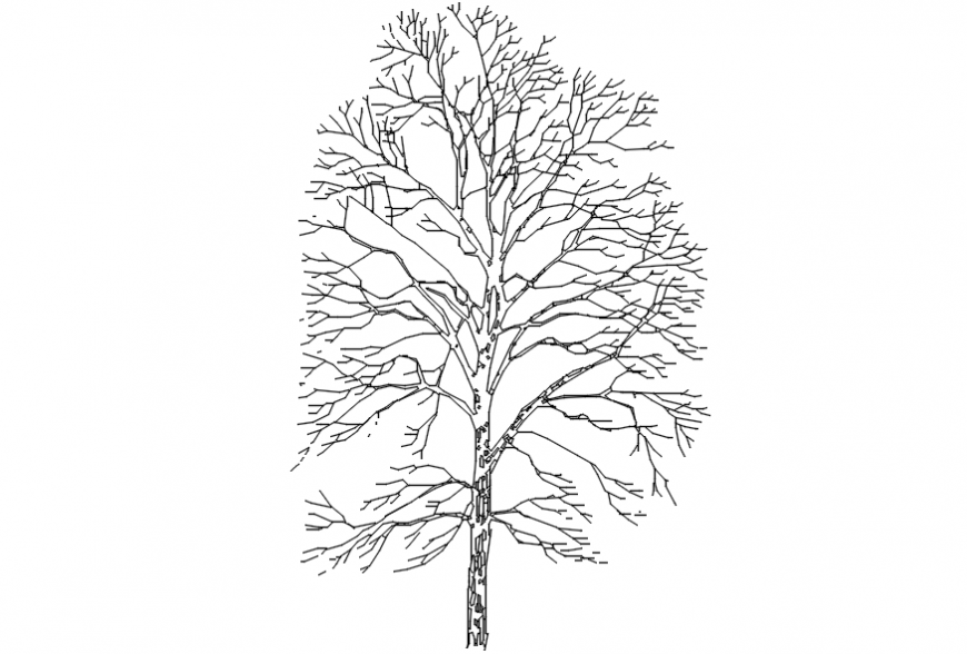 Trees front sectional model 2d