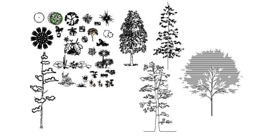 Various trees and plants blocks 2d view autocad file
